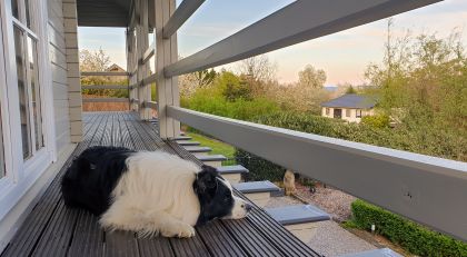 vakantie met hond in Durbuy